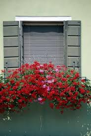 With a touch of flowers, succulents, or herbs, these pros really know how to turn an ordinary window into a true work of art. Full Sun Annual Flowers For Window Boxes Window Box Flowers Window Box Plants Full Sun Annuals