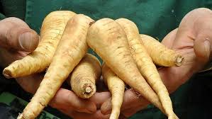 Aussaattage nach kosmischen rhythmen 2021. Der Mondkalender Fur Die Gartenarbeit Im April 2021