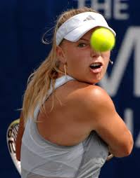 Here are top 10 highlights of '10 in Beaches sports and rec