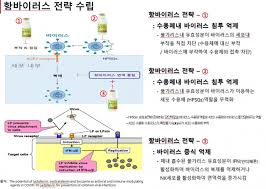저도 아침마다 마를 갈아서 먹는데요. Bmlnxkkkgyorgm