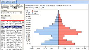 Population Pyramids Census 2010 Age Sex Gender Race