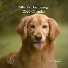 We know, we know... it's August and here we are about to tell you to get  calendars for your dog loving friends & family for Christmas gifts...We  hate to be the bearer