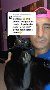 Feliz navi Cats 🤣🤣🤣🤣 parodia sbloccata 🤣🤣