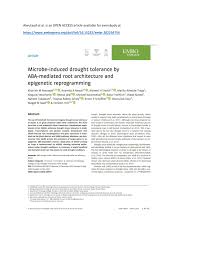 PDF) Microbe-induced drought tolerance by ABA-mediated root architecture  and epigenetic reprogramming