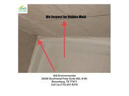 Mold inspection and testing can help homebuyers and homeowners make an informed decision about best options to avoid the health and safety issues that. Mold Inspection And Testing Mold Clearance Iaq Environmental