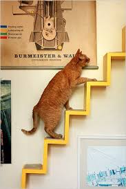 Make yours as welcoming as you are with kitchen cabinets that reflect your style and kitchen products that'll help you whip up a heartwarming meal. Pet Centric Design The New York Times