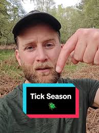 How to Watch Out for Ticks While Camping