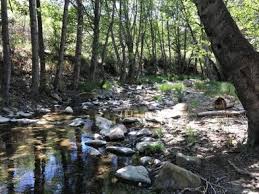 We did not find results for: Wheeler Gorge Los Padres National Forest Recreation Gov