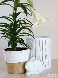 Spent too much on indoor plants to buy interesting planters too? 10 Cute Ways To Decorate Your Flower Pots