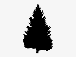 283x283 christmas tree silhouette silhouette of christmas tree. Pine Tree Silhouette Png Download Christmas Tree Transparent Png 326x534 Free Download On Nicepng