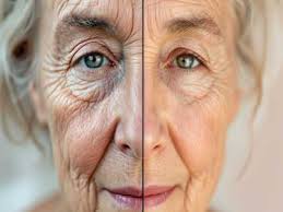 County centenarian's life includes time in internment camp, job as Jimmy  Hoffa's secretary