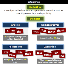 As we can see from the introduction, quantifiers are adjectives used to express the quantity of the noun they follow. Determiner What Is A Determiner