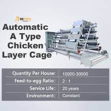 How did she do it? China Modern Design Full Automated Layer Chicken Cage For Sale China Full Automated Raising Equipment Semi Automatic Rearing Cages