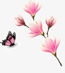 الفراشة الوردية الأغصان Butterfly Clip Art Pink Butterfly Pink