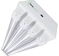 4ft. LED 4 Lamp T8 STINGRAY® 4XL GEN 2.0 - 80W Clear/Frosted LEDs 14,4
