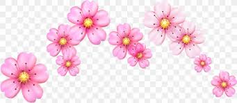 Cherry Blossom Emoji Flower Image Png 1803x782px Blossom Cherries Cherry Blossom Emoji Emoticon Download Free What does 🌸 cherry blossom emoji mean? cherry blossom emoji flower image png