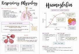 Saw People Sharing Their Notes So I Wanted To Share Mine Too All Done On Goodnotes Ipad Nursing School Notes Good Notes College Notes