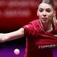 WTT Champions Doha 2026 event image