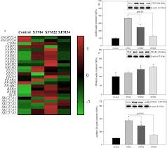 Presedintele senatului, calin popescu tariceanu, a exclus, luni, varianta unei posibile oug pentru. Induction Of Lipid Droplets In Thp 1 Macrophages By Multi Walled Carbon Nanotubes In A Diameter Dependent Manner A Transcriptomic Study Sciencedirect