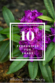 Learn what partial shade really means. 10 Best Perennials For Shade Whats Ur Home Story