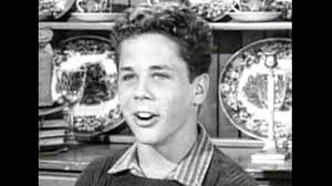Leave it to Wally Cleaver: Tony Dow gets beloved car back