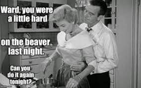Wardyou Were A Little Hard On The Beaver Ast Night Can You Do It Agaiin Tonight Image Tagged In Memesleave It To Beaverjune Cleaverward Cleaver Meme On Me Me