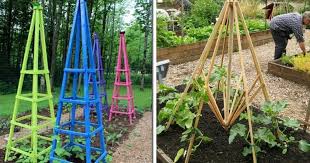 So you have a couple hundred seedlings in a tray and it's definitely time to put them into pots. 15 Diy Plant Supports And Cages You Need In Your Summer Garden Diy Crafts
