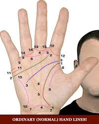 Palmistry Discover Reading Palm Lines Palm Reading Palmistry Palm Reading Lines
