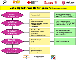 The access to biological collections data (abcd) schema is a highly structured data exchange and access model for taxon occurrence data (specimens, observations, etc. Practice Report Structured Training To Improve Quality Of Care In Emergency Medical Service On Scene Supervision A New Approach To Emergency Medical Service Training In Wiesbaden And Rheingau Taunus Kreis Zeitschrift Fur Evidenz Fortbildung