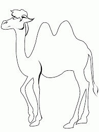 Pin On Animal Coloring Pages