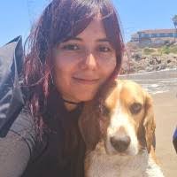 60+ "Scarlett Chavez" profiles