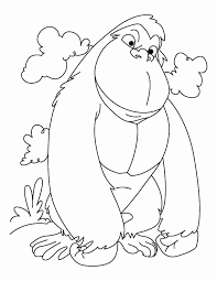 Cool colors are not overpowering and tend to recede in space. Ape Coloring Pages Best Coloring Pages For Kids