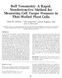 What is turgor pressure in plant cells? Pdf Ball Tonometry A Rapid Nondestructive Method For Measuring Cell Turgor Pressure In Thin Walled Plant Cells Philip Lintilhac Academia Edu