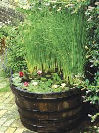 Optimal location for the mini pond. Pin On For The Home Water Features