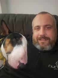 English Bull Terrier Fan Club