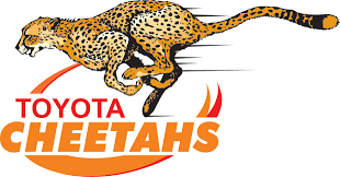 Rugby union world cup team emblems logos editorial stock. New Super Rugby Logo For Cheetahs Sport
