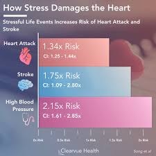 How Emotional Stress Affects The Heart Visualized Health