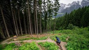 To ensure the quality of comments, you need to be connected. Chasing Trail Ep 29 Leogang Scott