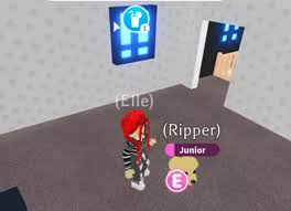 Working pet / money hacks 2021 (roblox). How To Make Money On Adopt Me On Roblox 7 Steps With Pictures