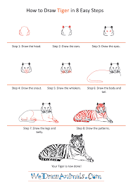 We mean the head by a square, which we immediately divide into four equal parts. Step By Step How To Draw Tiger Novocom Top