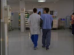 Transition from graduate to competent professional in a supportive and highly interactive environment. Sacred Heart Hospital Scrubs Wiki Fandom