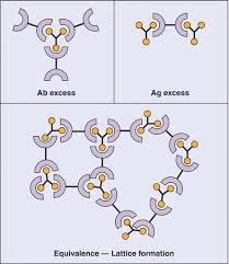 (1965) developed a very simple method to quantitate antigens using gel diffusion. Immunochemical Techniques Basicmedical Key