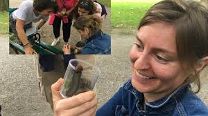 Harald Wipfler, Autor bei Nachhaltige Hochschulen