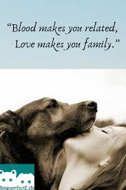Pin On Dogs Helpful Tips Advice