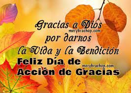 We did not find results for: Feliz Dia De Accion De Gracias Frases Cristianas Bonitas Para La Cena De Gracias Thanksgiving Entre Poemas Cristianos Frases Vivencias Y Cumpleanos