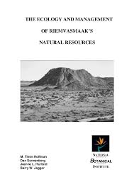 Image result for Oxygonum delagoense