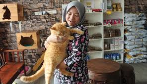 Sakit perut biasanya menjadi pertanda anda harus segera. Sukar Hadam Nasi