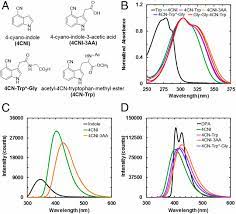 Blue Fluorescent Amino Acid For Biological Spectroscopy And Microscopy Pnas