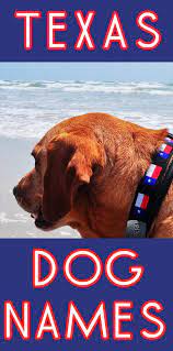 Texas Dog Names