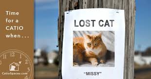 Because of the information lost pet finders gave us we were able to find our daughter cat within a hours of her going missing. Lost Cat Prevention And Rescue Tips From Catio Spaces Catio Spaces